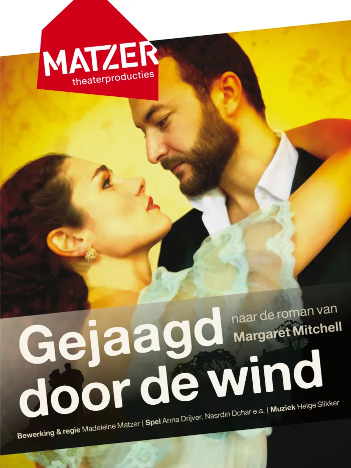 Cover van Gejaagd door de wind